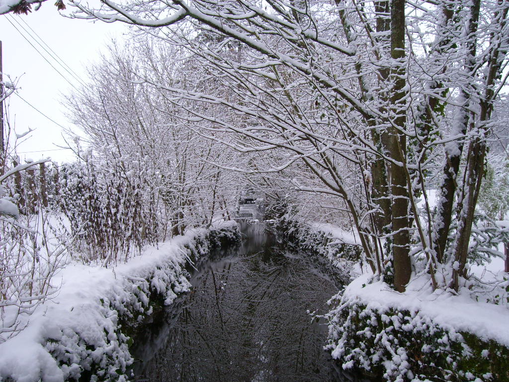 Cadre champêtre - Rivière